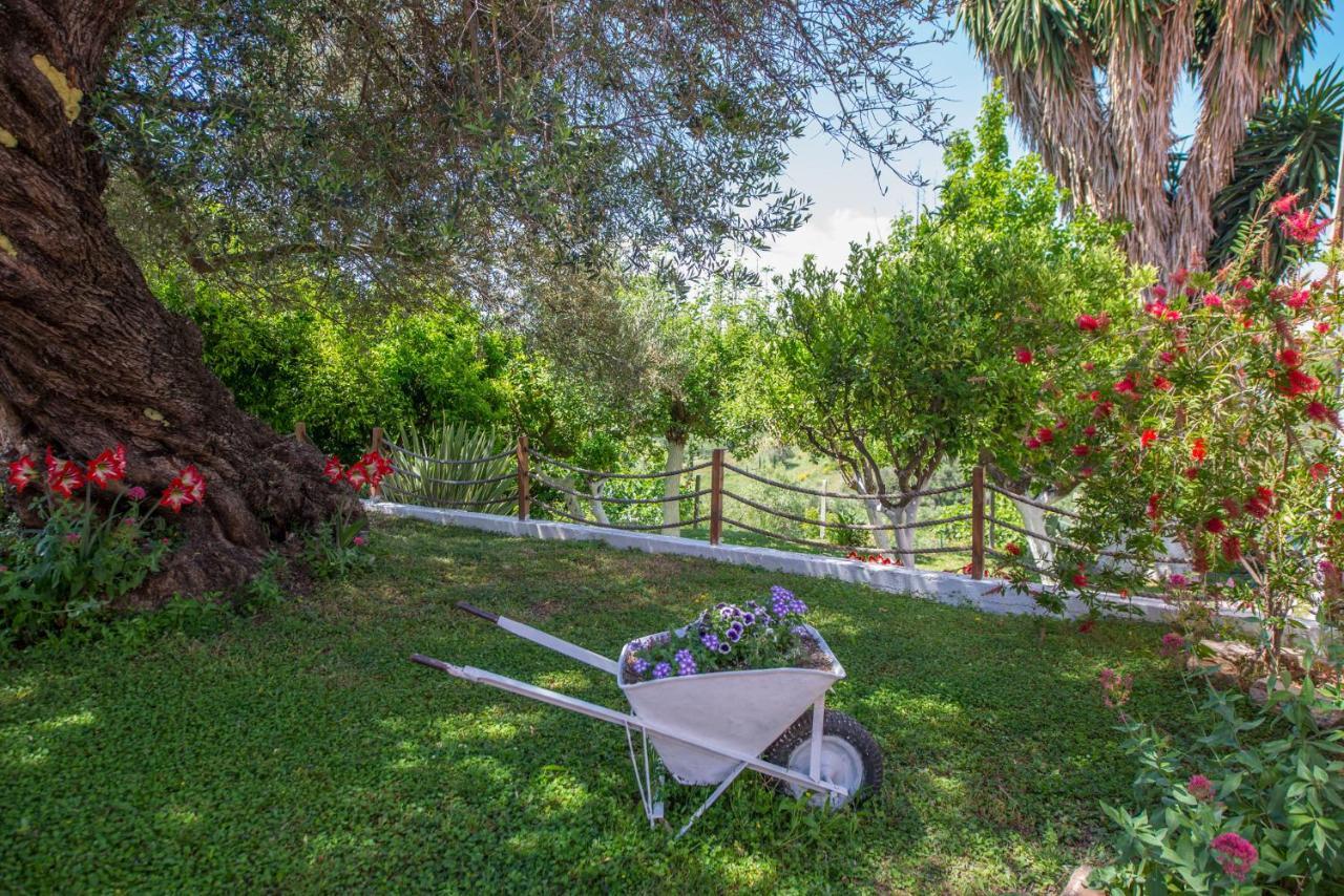 Nicoles Houses Arillas  Exterior photo